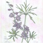 Flowers of the Month