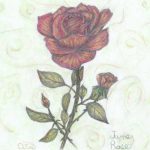 Flowers of the Month