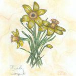 Flowers of the Month