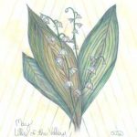 Flowers of the Month