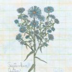 Flowers of the Month